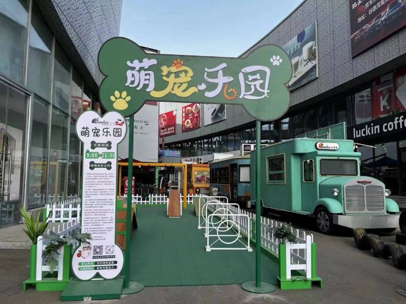 宠物SPA：一种新型的生活享受
