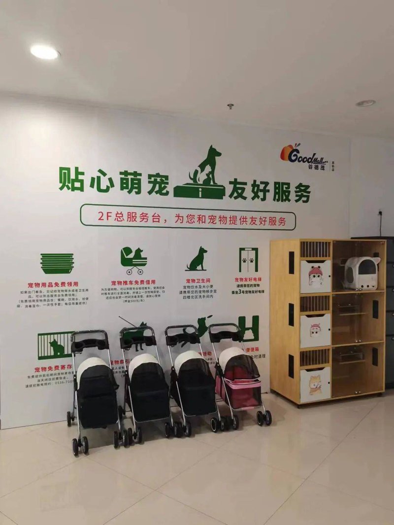 宠物SPA行业的新兴趋势：让毛孩子享受舒适之旅