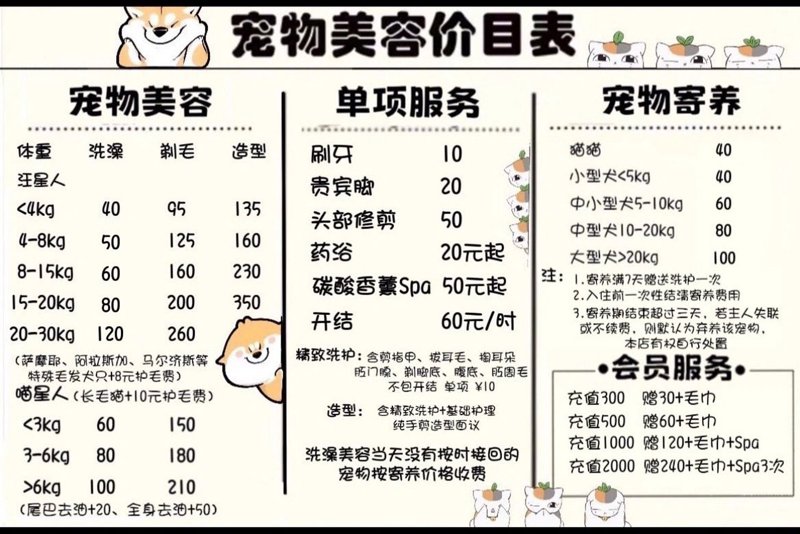 带宠物去潍坊美容，这份选购指南必须收藏