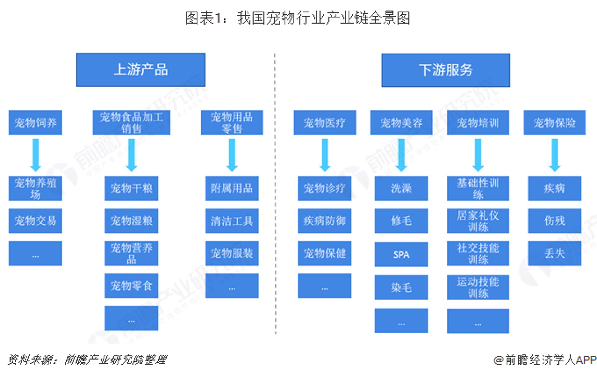 懂灵宠物美容