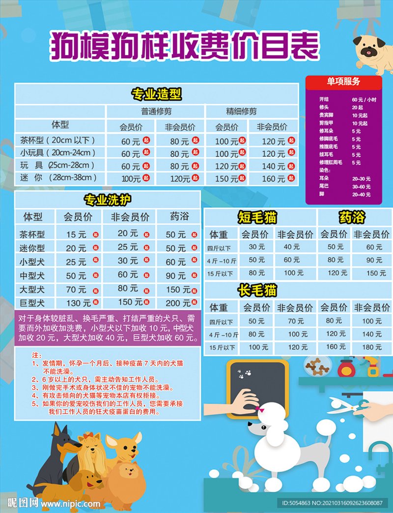 宠物美容价格